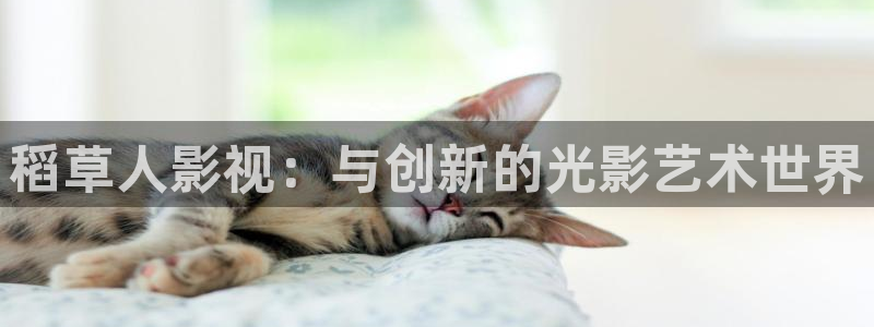 八戒八戒神马免费影院