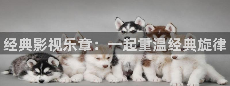 神马电影院老子午夜